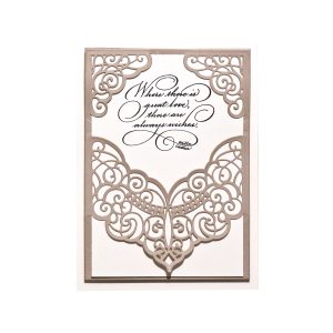 January 2019 Amazing Paper Grace Die of the Month is Here – Lacework Finery Slip-In Card