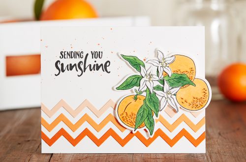 February 2019 Stamp of the Month is Here - Orange Blossom