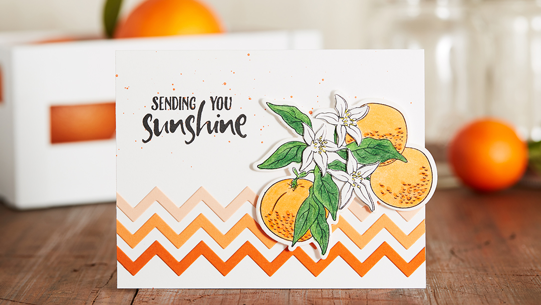 February 2019 Stamp of the Month is Here - Orange Blossom