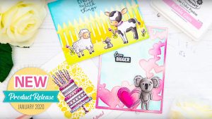 FSJ Kindness Matters | Everyday Cards with Laura Volpes | Video