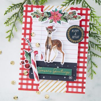 November 2020 Card Kit of the Month is Here – Merry Wishes