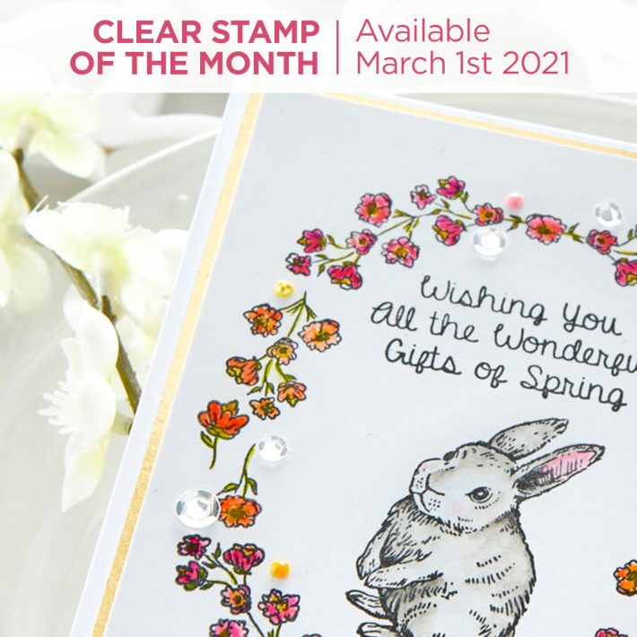 Coming Soon! March 2021 Clubs! Card Kit of the Month – Celebrate Spring. Unboxing Video