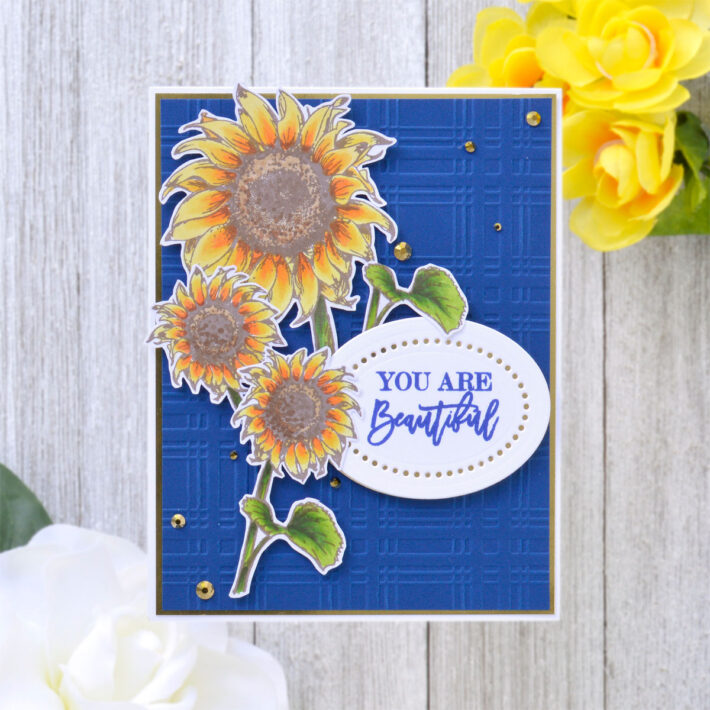 Cardmaker Stamp Collection – Card Inspiration with Annie Williams