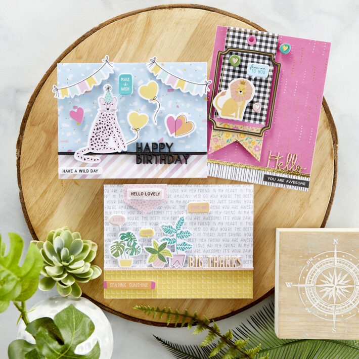 June 2021 Card Kit of the Month is Here – Wild Hello