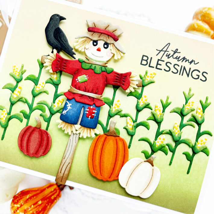 Happy Harvest Collection Inspiration with Caly Person