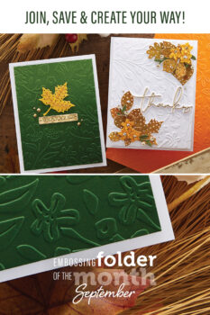 September 2022 Embossing Folder of the Month Preview & Tutorials – Scattered Fall