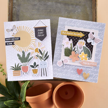 January 2023 Quick & Easy Card Kit of the Month Preview & Tutorials – Indoor Garden
