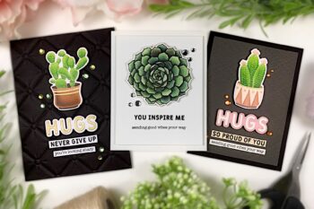 Simon Hurley’s Succulents with Jennifer Rustion