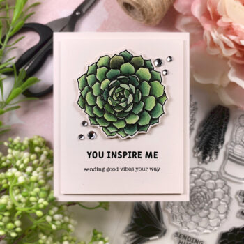 Simon Hurley’s Succulents with Jennifer Rustion