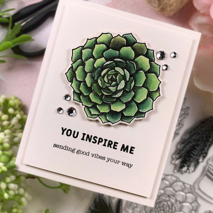 Spellbinders Simon Hurley’s Succulents Colored 3 Different Ways with Jennifer Rustioni