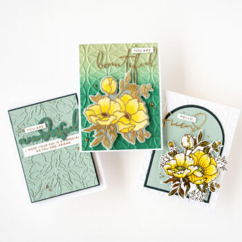 Anemone Blooms, a Trio of Cards