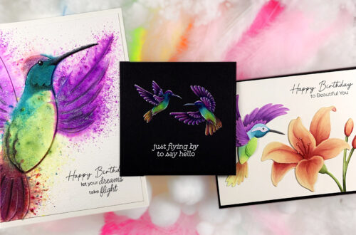 Rainbow Wings With Jennifer Rustioni