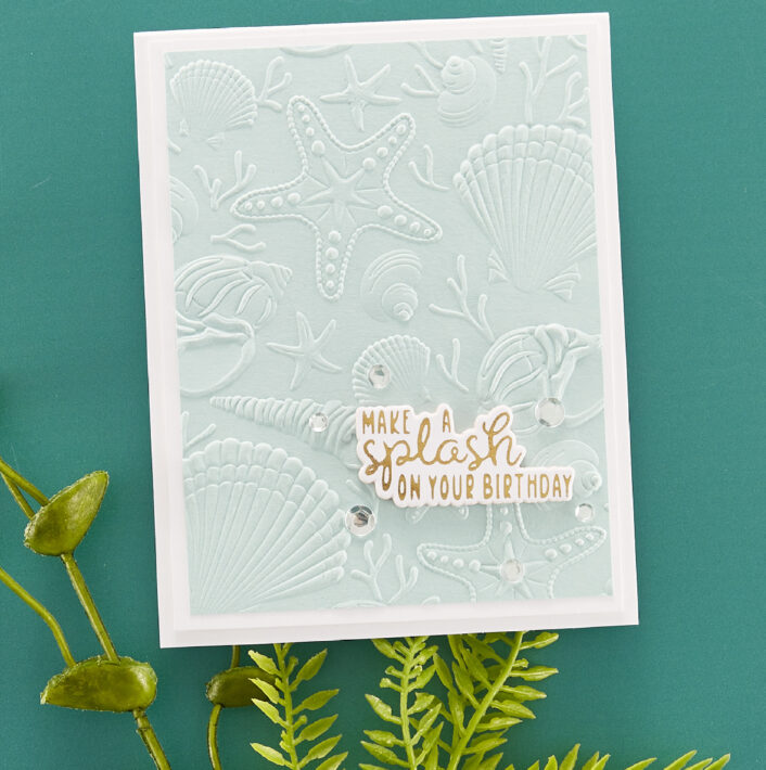 June 2023 3D Embossing Folder of the Month Preview & Tutorials – Scattered Shells