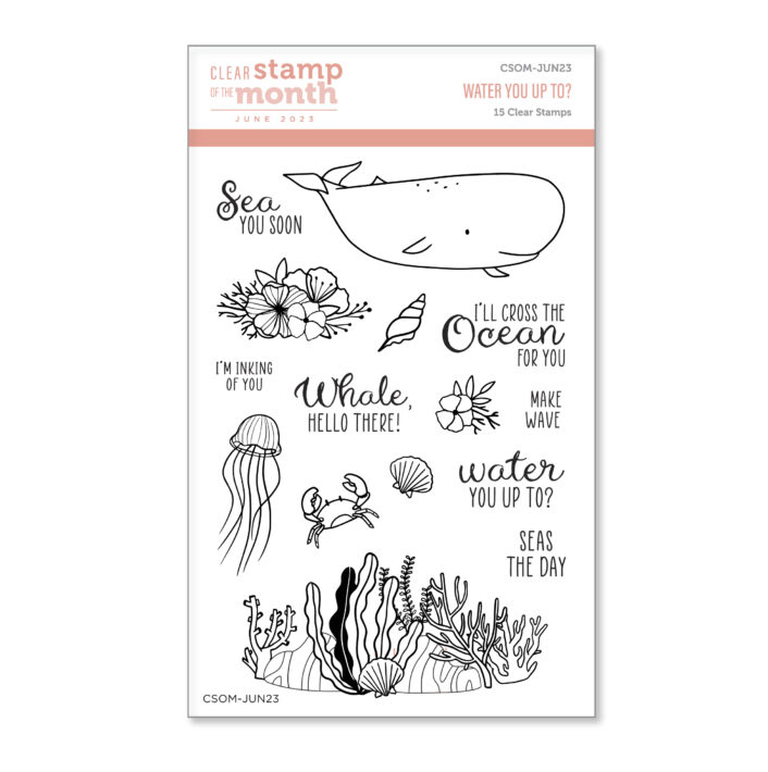 June 2023 Clear Stamp + Die of the Month Preview & Tutorials – Water You Up To?