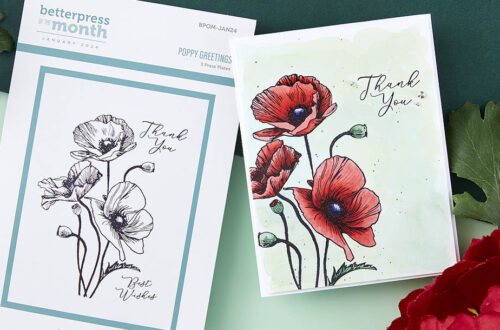 January 2024 BetterPress Plate of the Month Preview & Tutorials – Poppy Greetings