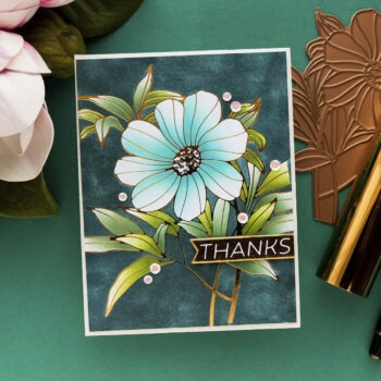 January 2024 Stencil of the Month Preview & Tutorials – Lively Floral