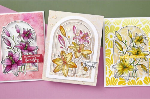 February 2024 Clear Stamp + Die of the Month Preview & Tutorials – Lily Arch