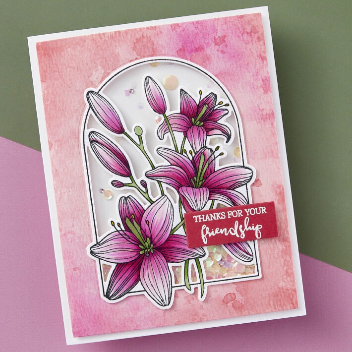 February 2024 Clear Stamp + Die of the Month Preview & Tutorials – Lily Arch