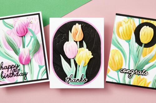 Tulip Garden Collection Introduction With Simon Hurley