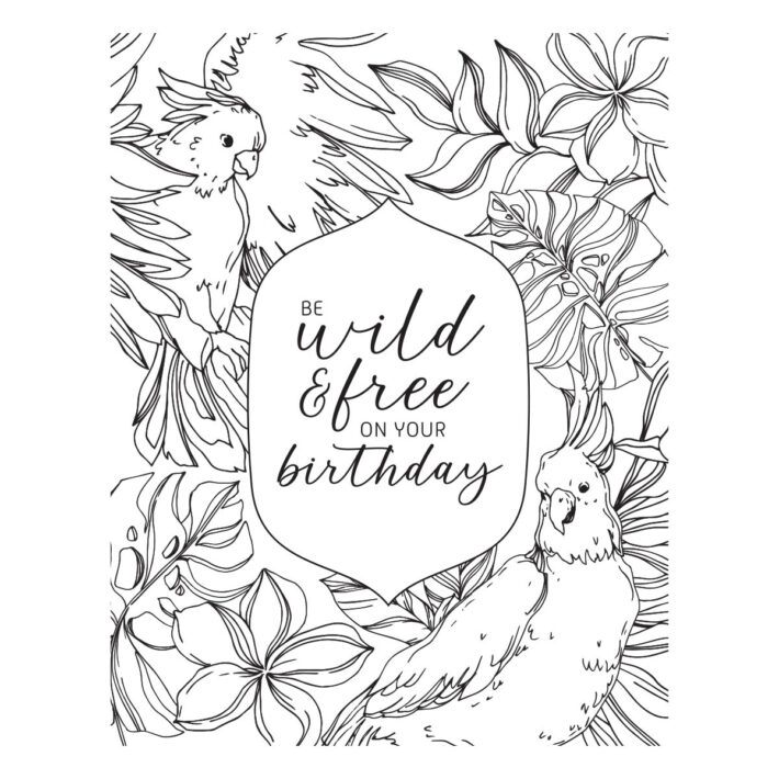 May 2024 BetterPress Plate of the Month Preview & Tutorials – Wild & Free