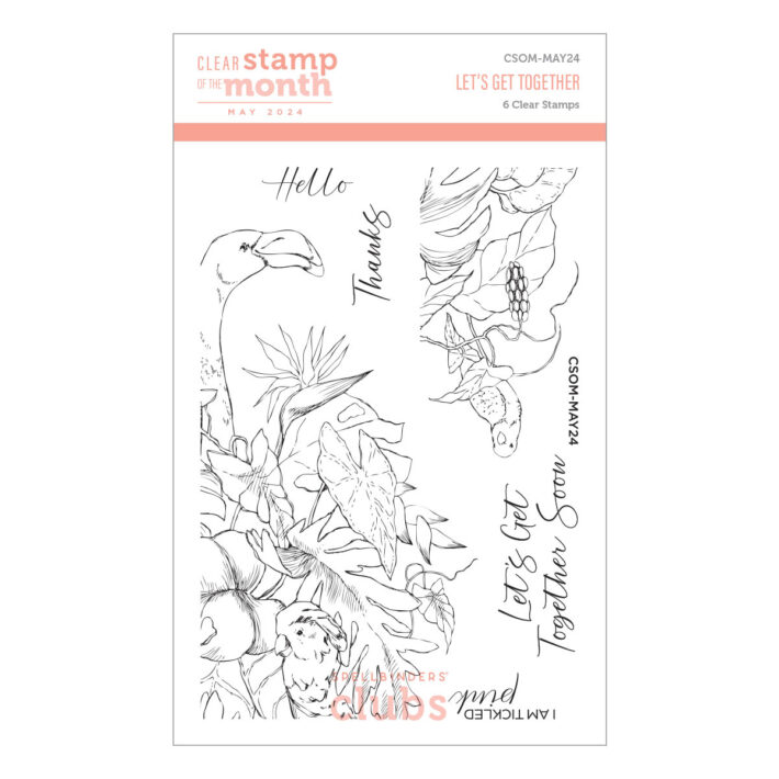 May 2024 Clear Stamp + Die of the Month Preview & Tutorials – Let's Get Together